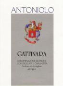 Antoniolo - Gattinara 0 (750ml)