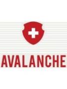Avalanche - Fendant Blanc 0 (750)